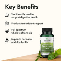 Thumbnail for Swanson Spearmint Leaf (Mentha Spicata) - Full Spectrum Herbal Supplement Supporting Digestive Health & Mild Stomach Issues - Natural Formula Supporting Health & Wellness - (60 Capsules, 400mg Each)