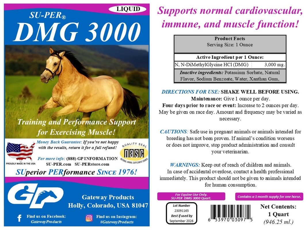 SU-PER DMG 3000 Horse Supplement - Training & Performance Support Liquid - Supports Normal Cardiovascular Immune & Muscle Function - 1 Quart