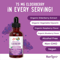 Thumbnail for MARYRUTH'S Elderberry Liquid Drops for Adults & Kids | Immune Support | Antioxidant | Overall Wellness | Elder Berry Extract | USDA Organic | Sugar Free | Vegan | Non-GMO | Gluten Free | 1 Fl Oz
