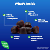 Thumbnail for Natrol Ashwagandha Complete Gummy, 3-in-1 Daily Stress Support, Supports Better Mood, Reduces Occasional Stress and Fatigue, 30 Gummies, Up to a 15 Day Supply
