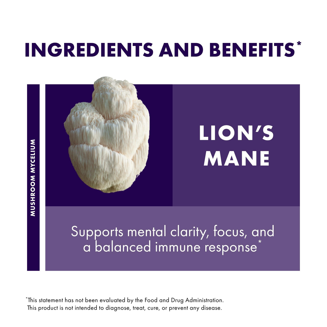 Host Defense Mushrooms Lion's Mane - Supplement Capsules for Brain Health Support - Mushroom Support for Focus & Memory Function - Immune & Nervous System Supplement - 120 Capsules