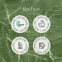 Thumbnail for APRILSKIN Artemisia Korean Rice Toner | 100% Korean Mugwort | Hydration Boost Facial Toner | Vegan, Cruelty Free, Low pH, | No sulfates and Artificial Fragrance | Korean Skin Care | 6.76 oz