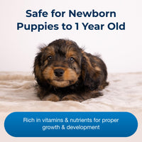 Thumbnail for Pet-Ag Esbilac Puppy Milk Replacer Powder - 12 oz - Powdered Puppy Formula with Prebiotics, Probiotics & Vitamins for Puppies Newborn to Six Weeks Old - Easy to Digest