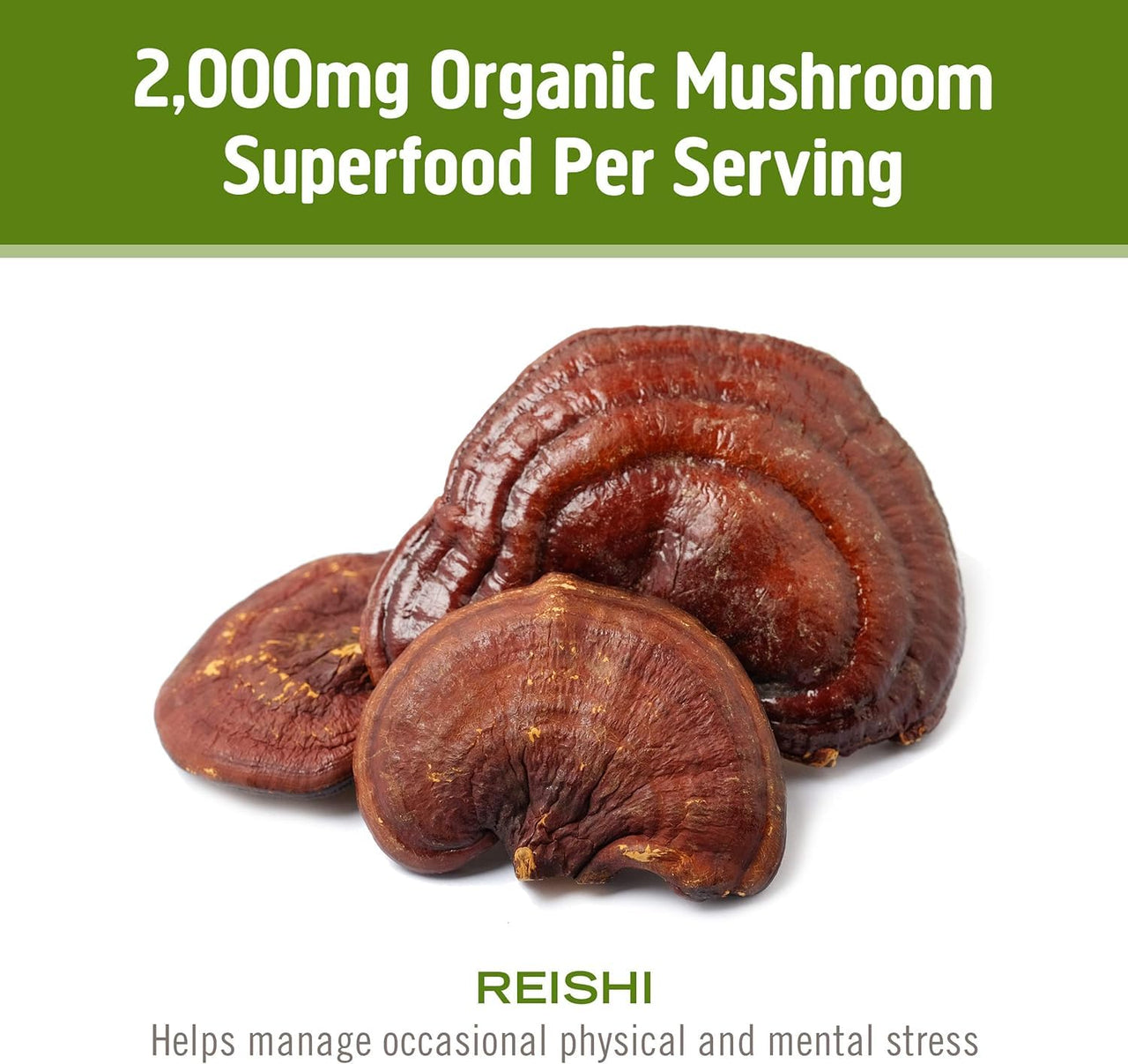 OM MUSHROOM SUPERFOOD Reishi Organic Mushroom Powder, 3.5 Ounce, 50 Servings, Adaptogen, Stress & Immune Support, Superfood Mushroom Supplement