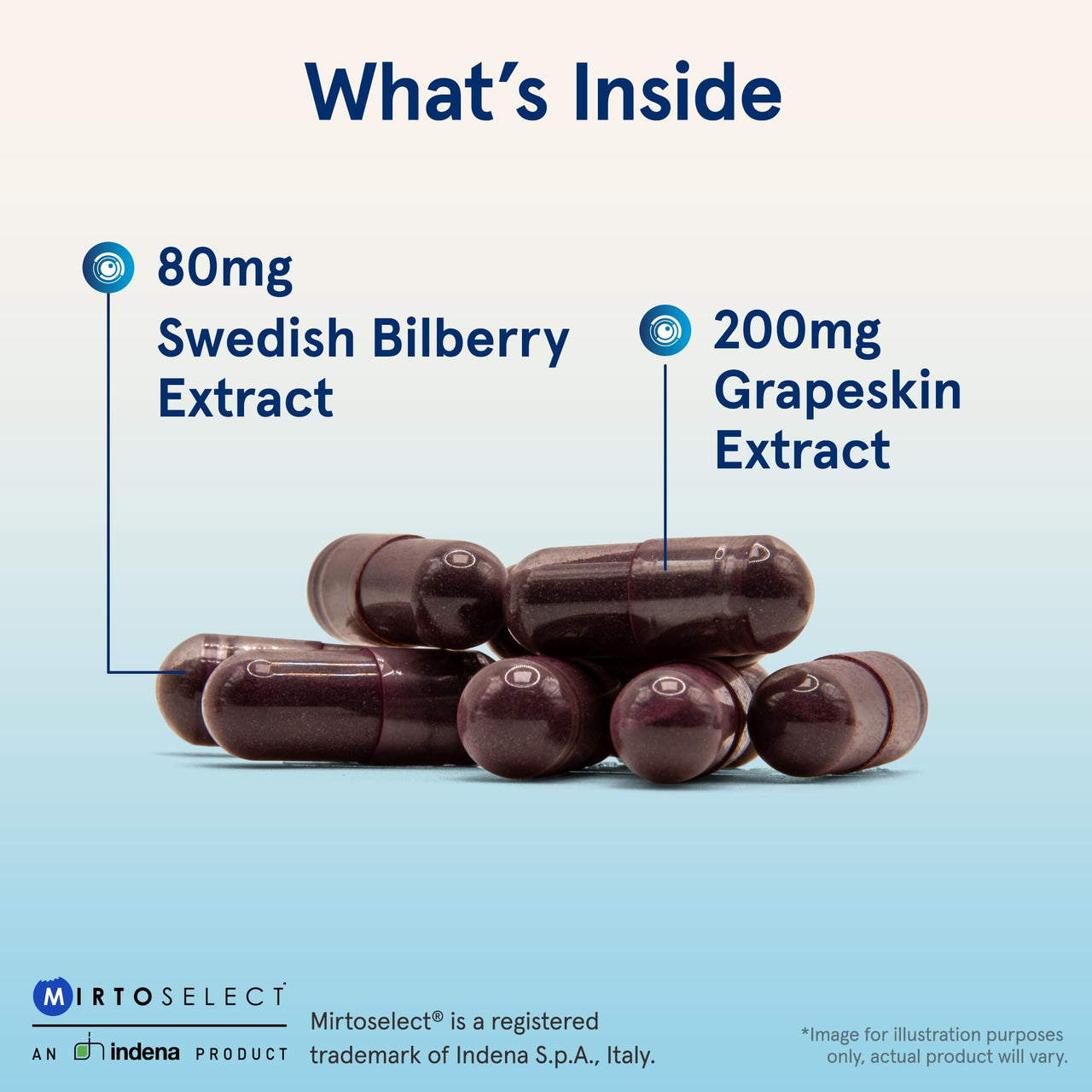 Jarrow Formulas Bilberry & Grapeskin Polyphenols Capsules - 120 Count - Bilberry Supplement for Eyes - Antioxidant Supplement - For Eye Health - Vegan - Non-GMO