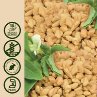 Thumbnail for Nature's Answer Fenugreek Seed with Organic Low Alcohol 2 Fluid Ounce | Female Reproductive Support | Aid For Mothers | Lactation Support | Natural Menopause Aid