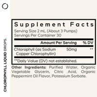 Thumbnail for Codeage Chlorophyll Liquid Drops Supplement - Vegan Chlorophyll 50 mg per Serving, Organic Peppermint Flavor Clorofila Drink - Non-GMO, Gluten-Free, Vegan - 2 fl oz