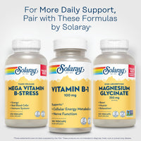 Thumbnail for SOLARAY Vitamin B-1 100 mg | Healthy Energy Metabolism, Skin, Brain, Heart & Nervous System Support | 100 VegCaps