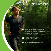Thumbnail for NaturesPlus Biotin & Folic Acid (Folate) - 30 Sustained Release Tablets - Vitamin B Complex for Energy, Beauty, Metabolism & Immune Health - Supports Healthy Skin, Nails & Hair - 30 Servings