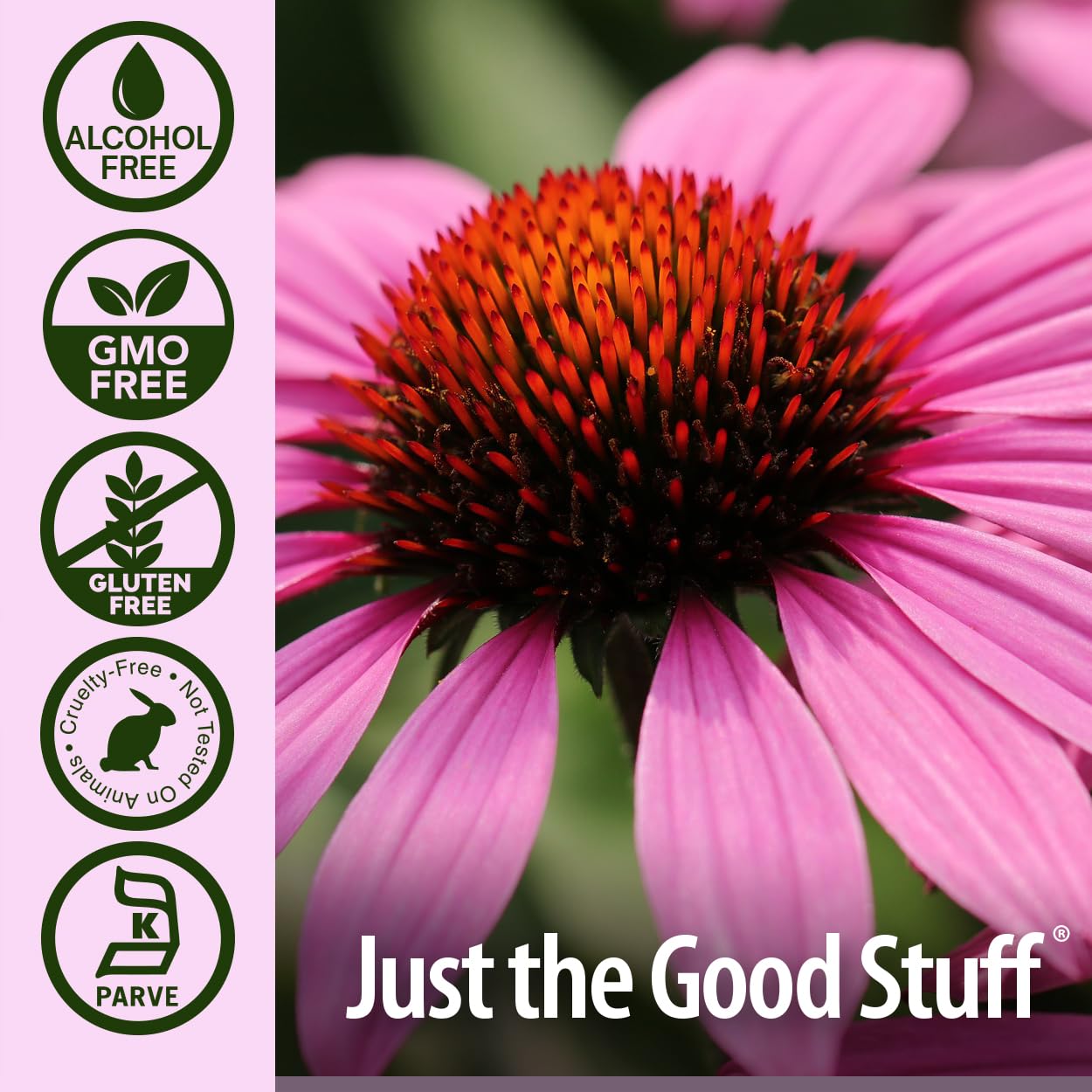 Nature's Answer Echinacea | 4 oz. Supports a Healthy Immune System | Non-GMO | Alcohol-Free, Gluten-Free, Vegan, Kosher Certified & No Preservatives 4 fl oz