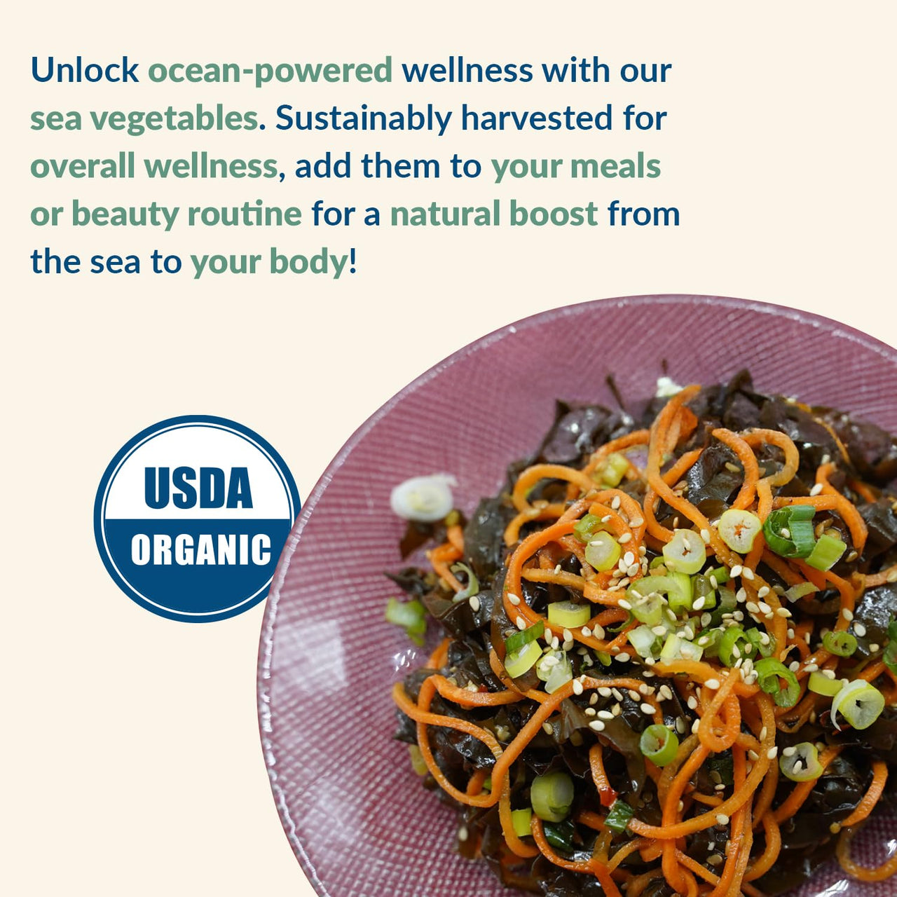 Maine Coast Sea Vegetables Organic Alaria Whole Leaf (Wild Atlantic Wakame) | Certified Organic Dried Seaweed | Nutrient-Rich, Iodine-Rich | Ideal for Soups & Salads | Dried Wakame Seaweed | 2 Oz Bag