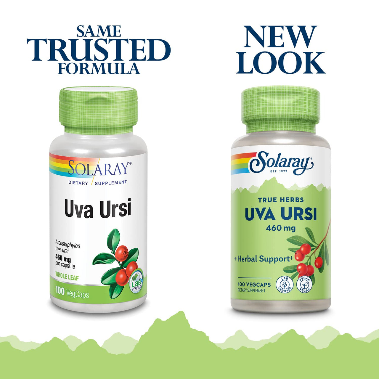 SOLARAY Uva Ursi Leaf 460 mg | Healthy Bladder, Kidney & Urinary Tract Function Support | Non-GMO | 100ct (Take 3 Daily)