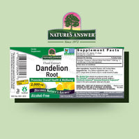 Thumbnail for Nature's Answer Dandelion Root 2000mg 1oz Extract | Promotes Overall Well-Being | Alcohol & Gluten Free, Non-GMO, Vegan, No Preservatives or Artificial Flavors | Single Count
