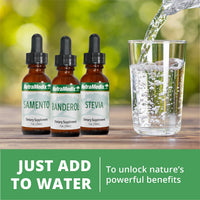 Thumbnail for NutraMedix Houttuynia - Gastrointestinal, Immune System & Microbial Support Tincture - Helps with Digestion, GI Health & Body Detox Cleanse - Plant-Based Liquid Drops (1 oz / 30 ml)