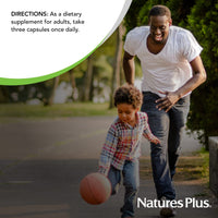 Thumbnail for NaturesPlus AgeLoss Prostate Support - 90 Capsules - with Zinc, Lycopene, Vitamin E, Pumpkin Seed & Saw Palmetto - Vegetarian, Gluten Free - 30 Servings