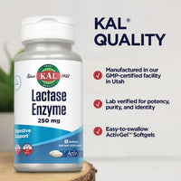 Thumbnail for KAL Lactase Enzyme 250 mg, Healthy Digestion Support for Lactose Intolerance, Liquid-Filled ActivGels Made Without Soy, 250 FCC Units, 30 Servings, 60 SoftGels