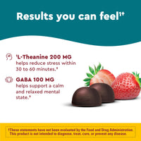 Thumbnail for Nature Made Wellblends Stress Relief Gummies, L theanine 200mg to Help Reduce Stress, with GABA 100mg, Same Day Stress Support, 40 Strawberry Flavor Gummies