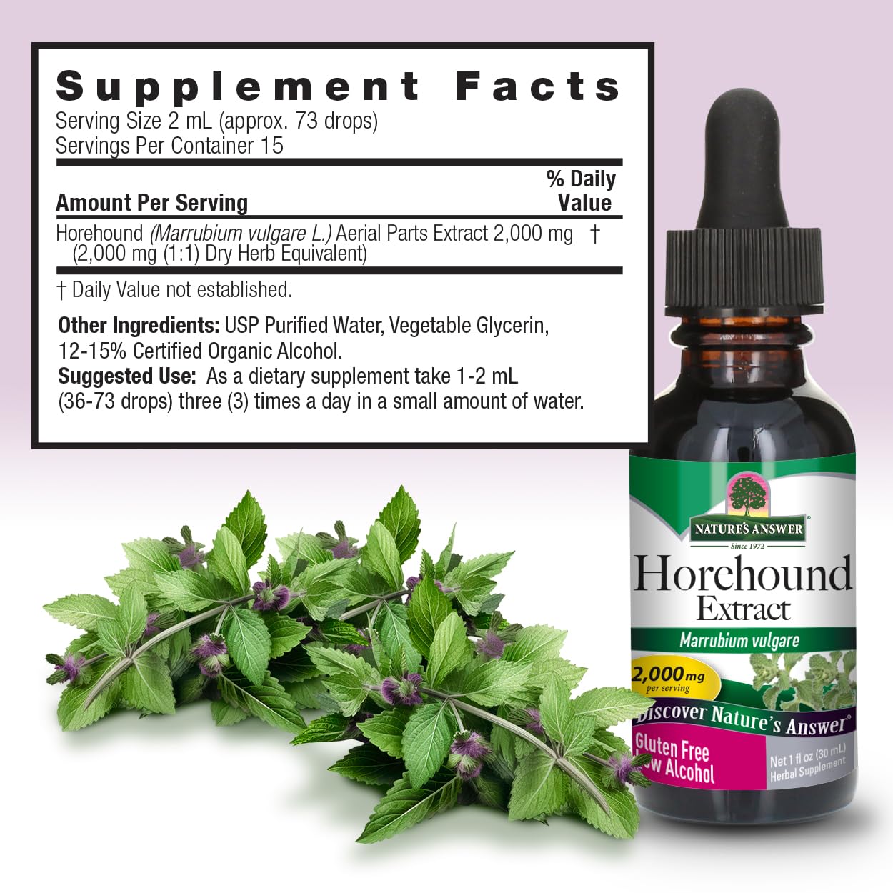 Nature's Answer Horehound with Organic Alcohol, 1-Fluid Ounce