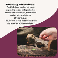 Thumbnail for Fluker's Freeze Dried Dubia Roaches, Ideal for Lizards, Reptiles, Birds, Fish, Hedgehogs, 1.7 oz