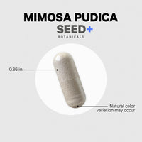 Thumbnail for Codeage Organic Mimosa Pudica Seed Capsules - Mimosa Pudica Seeds Supplement - Black Walnut, Cloves, Vidanga, Neem, BioPerine - All in One - Sensitive Plant Pills - Non-GMO & Vegan - 120 Capsules