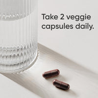 Thumbnail for Sports Research® Elderberry Immune Support with Zinc, Ginger, Vitamin C & D3 - Vegan Friendly · Non-GMO · Gluten Free - 60 Veggie Capsules