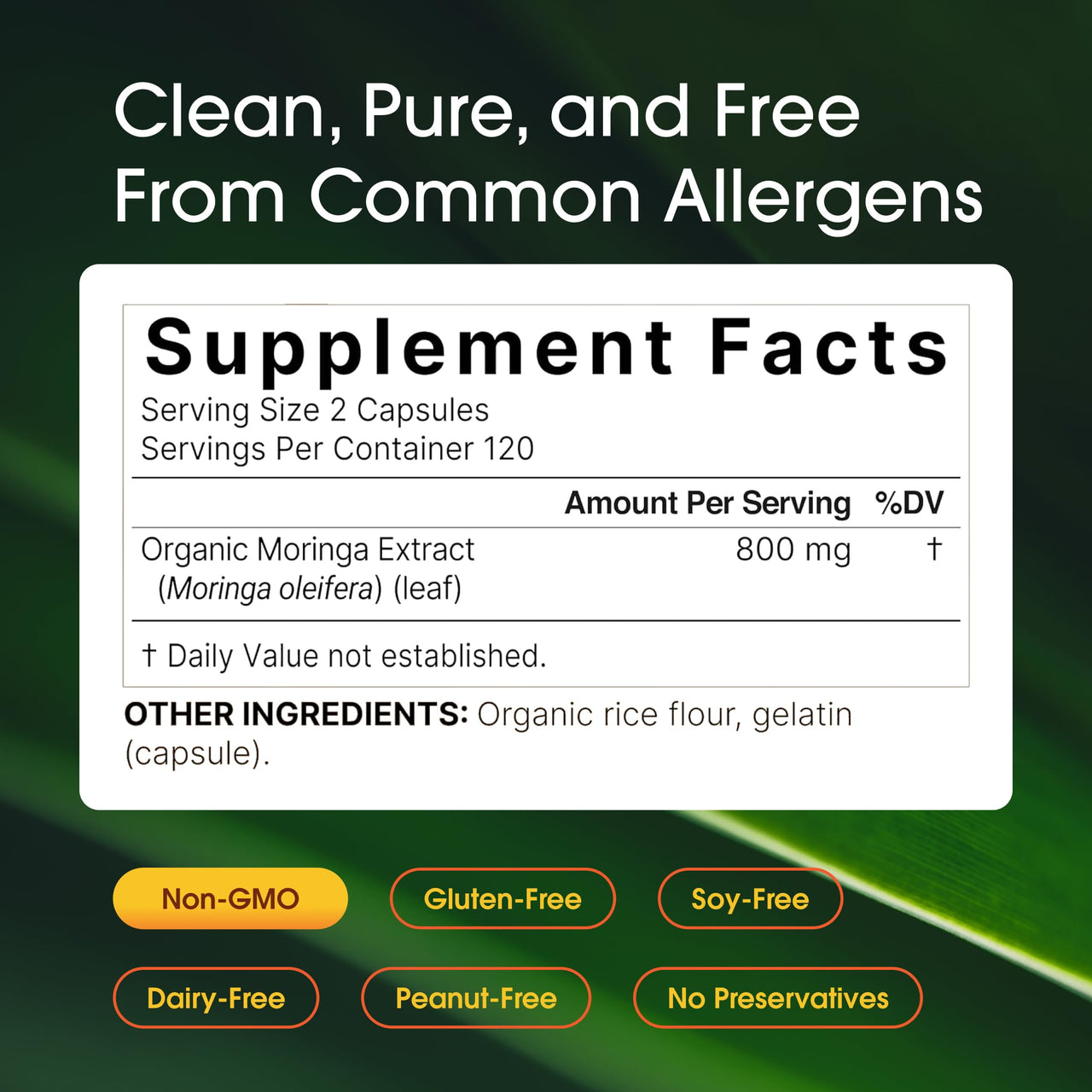 NatureBell Moringa - 240 Capsules - Organic Moringa for Immune, Energy & Skin Health Support* - Green Superfood Properties