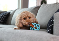 Thumbnail for JW Pet HOL-ee Roller™, Dog Toy Puzzle Ball, Natural Rubber, Medium (4.5” Inch Diameter), Blue