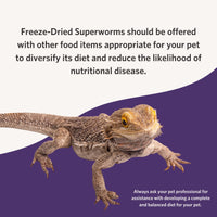 Thumbnail for Fluker's Freeze Dried Superworms, for Reptiles, Ideal for Lizards, Reptiles, Birds, Fish, Hedgehogs, 1.7 oz
