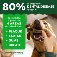 Thumbnail for Greenies Veterinarian-Recommended Adult Natural Dental Dog Treats Large Size, Weight Management Dog Dental Chews, 27 oz. Pack, 17 Count