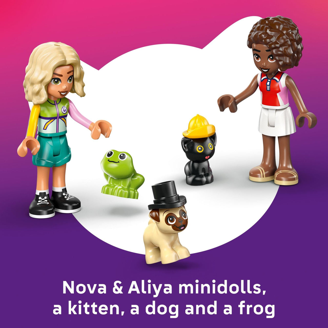 LEGO Friends Pet Accessories Van Building Toy for Girls & Boys - Pretend Play Set for Kids, Ages 6+ - W/Nova & Aliya Minidolls, 3 Pet Figures, & Accessories - Gift Idea for Birthdays - 42678