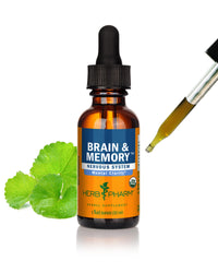 Thumbnail for Herb Pharm Organic Nootropic Brain & Memory Supplement with Ginkgo Biloba Liquid Extract: Fast Absorption for Mental Focus Support, Ginkgo Supplement, Vegan, Gluten-Free, Non-GMO, 1 Oz