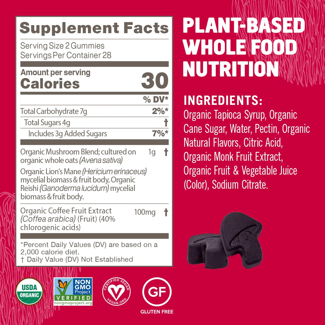 OM MUSHROOM SUPERFOOD Brain Fuel+ Gummies – USA Grown Organic Lion’s Mane – Supports Memory, Focus & Cognitive Function – Raspberry Flavor – 28 Servings, 56 Count.