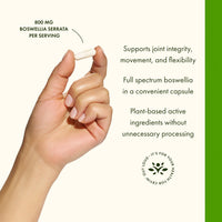 Thumbnail for Swanson Double Strength Boswellia - Ayurvedic Herb for Joint Flexibility & Mobility Support - Boswellia Serrata Resin - (60 Capsules, 800mg Each)
