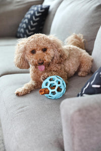 Thumbnail for JW Pet HOL-ee Roller™, Dog Toy Puzzle Ball, Natural Rubber, Medium (4.5” Inch Diameter), Blue