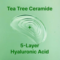Thumbnail for ISOI Moisture Dr. Ampoule, Deep Hydration and Barrier Repair Serum with Tea Tree Ceramide and 5 Hyaluronic Acids for Dry and Sensitive Skin, Korean Skin Care (1.35 fl.oz, 40ml)