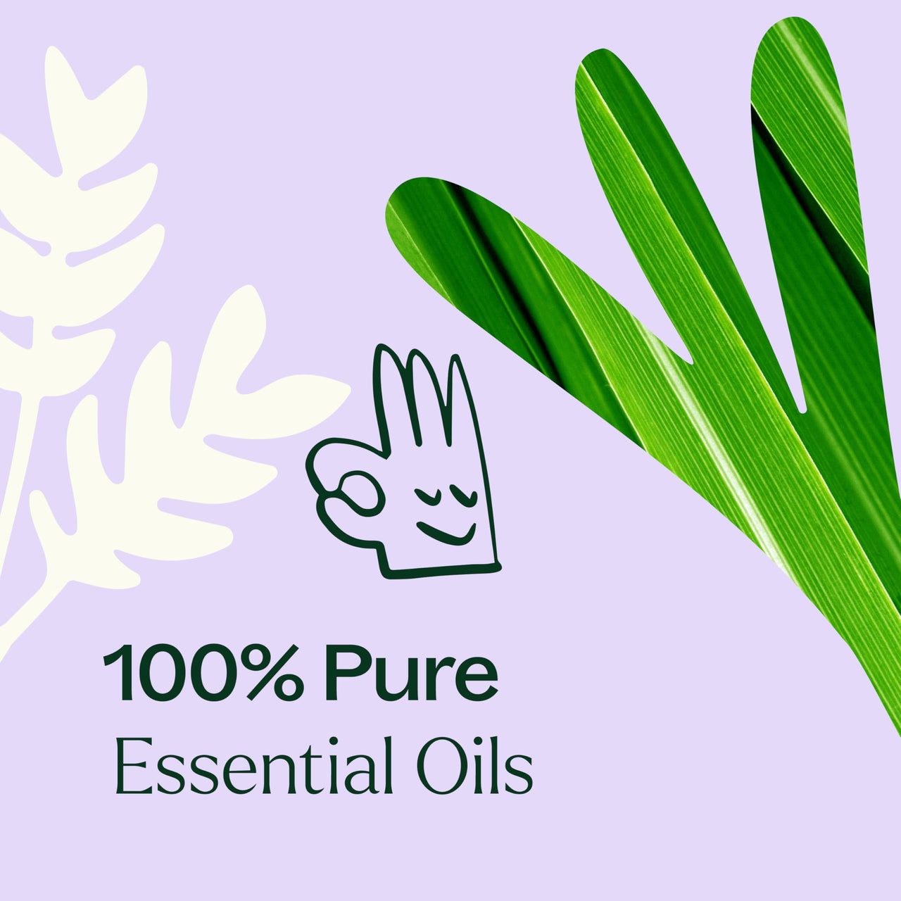Plant Therapy Anti Age Essential Oil Blend 10 mL (1/3 oz) 100% Pure, Undiluted, for Fine Lines, Wrinkles, and Elasticity
