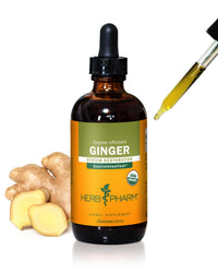 Thumbnail for USDA Organic Ginger Root Extract*: Digestion & Circulatory Support | Ginger Tincture for Occasional Nausea | Non-Bitter Vegan Digestive Supplement | 4 Oz, Up to 3 Months Supply