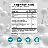 Thumbnail for NaturesPlus Collagen Peptides - 0.65 lbs Powder - Hair, Skin, Nail & Joint Health, Immune System Support - Non-GMO, Gluten Free - 28 Servings