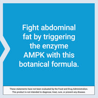Thumbnail for Life Extension AMPK Metabolic Activator*, Hesperidin, G. pentaphyllum, Fight unwanted Belly Fat, Target Overall Fat, Gluten-Free, Vegetarian, 1-Daily, Non-GMO, 30 Tablets