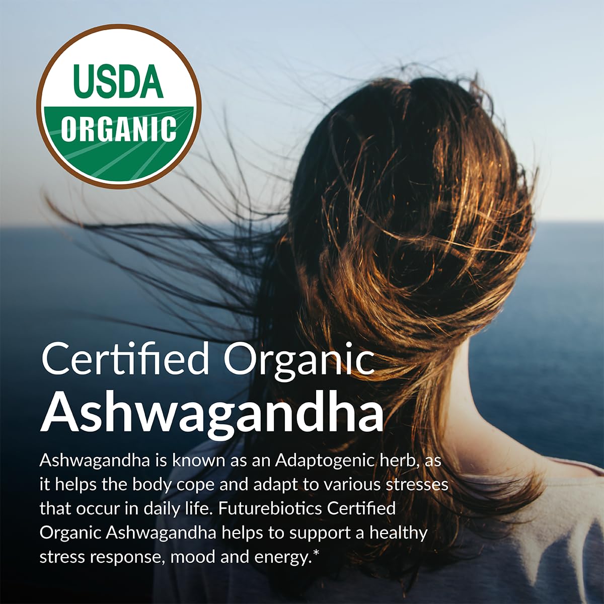 Futurebiotics Certified Organic Ashwagandha Stress Mood & Energy Support Adaptogenic Herb, Non-GMO, 250 Organic Tablets