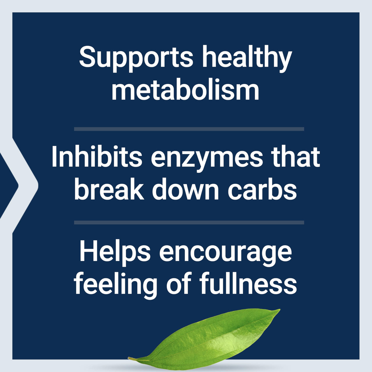 Life Extension CinSulin® with InSea2® and Crominex® 3+, shilajit, amla fruit, cinnamon, brown seaweed, supports healthy metabolism and satiety, gluten-free, non-GMO, vegetarian, 90 capsules