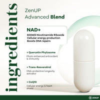 Thumbnail for ZenUP NAD+ Supplement | 1100mg Liposomal Nicotinamide Riboside with Resveratrol & Quercetin | Anti-Aging, Cellular Energy, Mental Focus | 120 Caps