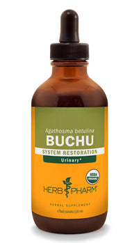 Thumbnail for Herb Pharm Certified Organic Buchu Liquid Extract for Urinary System Support - 4 Ounce