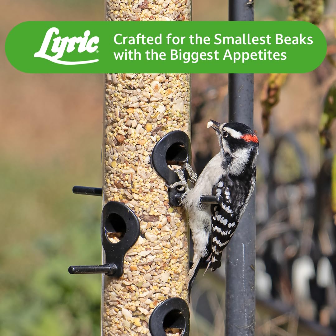 Lyric Fine Tunes Wild Bird Seed Mix - No Waste Bird Food Mix - Attracts Bluebirds, Finches, Chickadees & More - Seed for Outside Feeders - 15 lb Bag