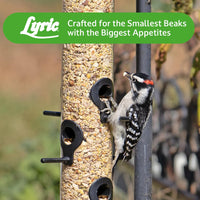 Thumbnail for Lyric Fine Tunes Wild Bird Seed Mix - No Waste Bird Food Mix - Attracts Bluebirds, Finches, Chickadees & More - Seed for Outside Feeders - 15 lb Bag