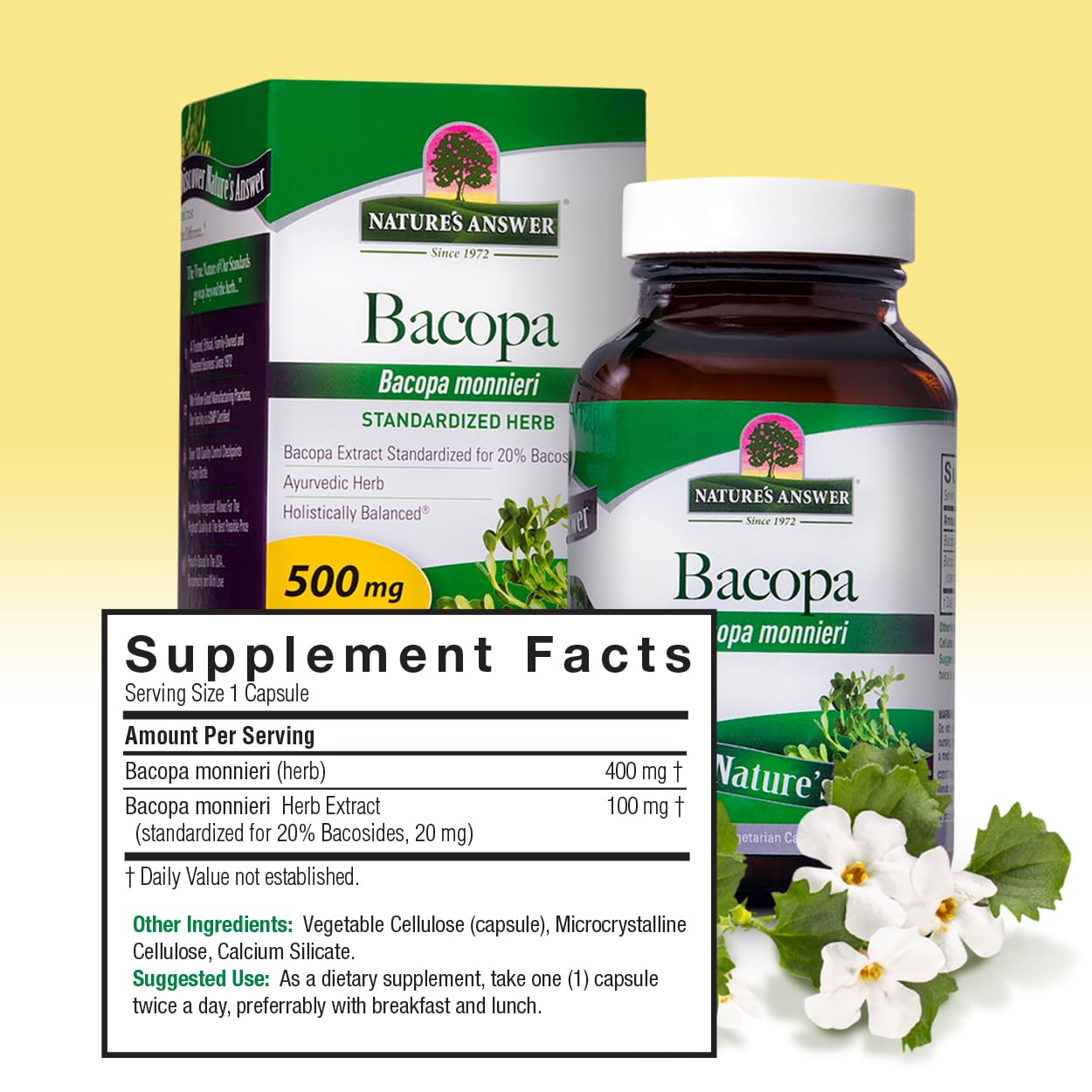 Nature's Answer Bacopa Monnieri | Helps Improve Memory | NON-GMO| No Preservatives | Gluten-Free, Vegan & Vegetarian â€“ 500mg (90 Capsules)