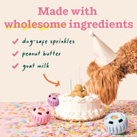 Thumbnail for WOOF Pupsicle Birthday Pops - Healthy Dog Treats - Pre-Made Pupsicle Refills- Wholesome Ingredients - Naturally Sweet - Cake-Flavored Birthday Treat for Dogs - Large