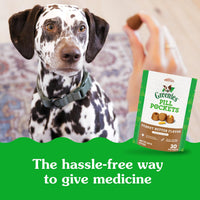Thumbnail for Greenies Pill Pockets for Dogs Large Size, Dog Treat Pouch for Capsule Medication, Peanut Butter Flavor, (6) 7.9 oz. Pouches