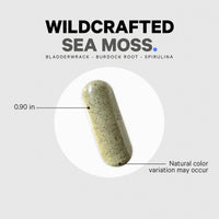 Thumbnail for Codeage Raw Wildcrafted Irish Sea Moss Supplement, Spirulina Algae, Bladderwrack Seaweed, Burdock Root, Black Pepper, Vegan, Non-GMO, 120 Capsules