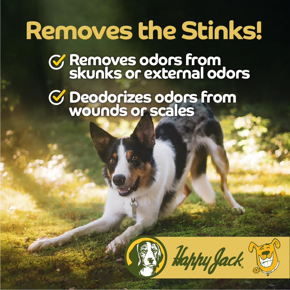 Happy Jack Itch No More Dog Itchy Skin Shampoo & Treatment (12 oz), Flea Bites, Allergies & Itch Relief, Stops Itching, Scratching & Gnawing on First Application for Healthy Dog Skin & Coat